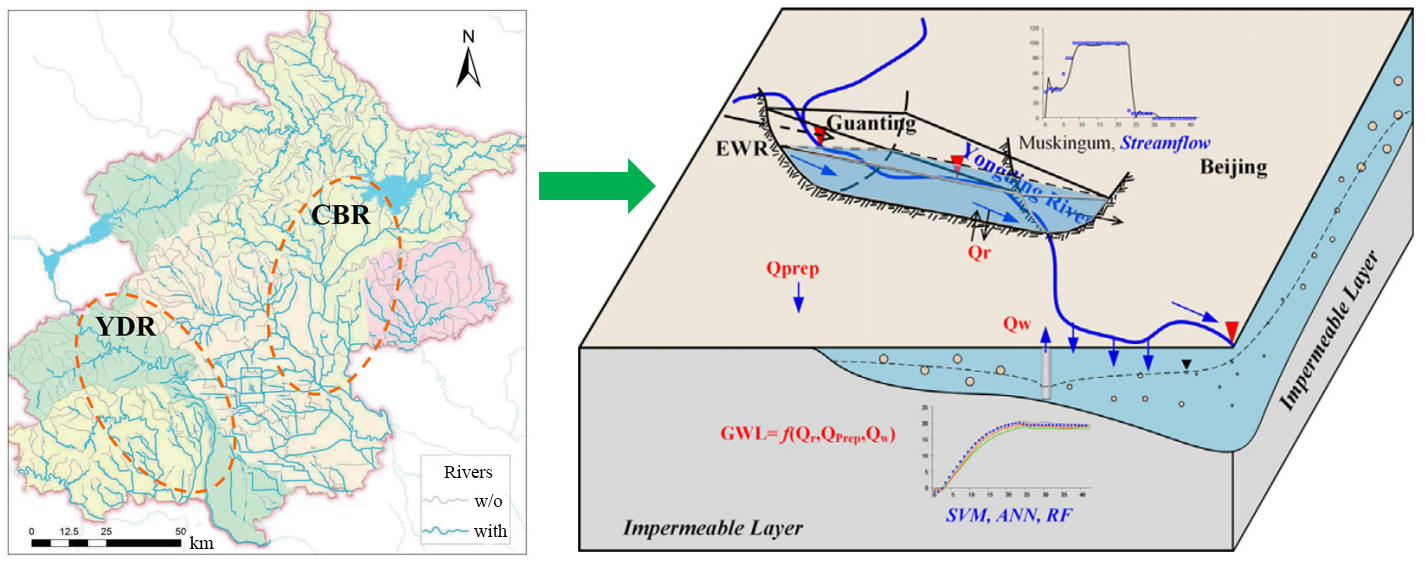 Hydrodynamic and water-balance framework for ecological river replenishment