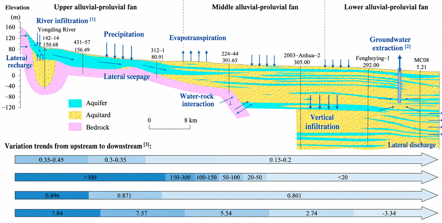 Stratigraphic section of river-aquifer exchange along the alluvial-proluvial fan