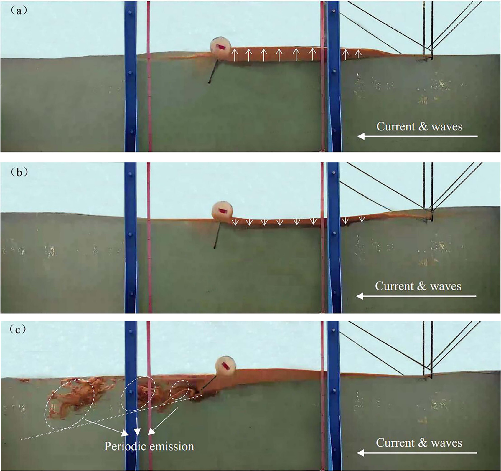 Slick evolving process under wave-current forcing