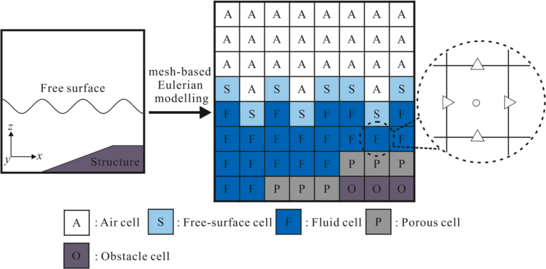 Two-dimensional vertical sketch of the mesh-based FD model