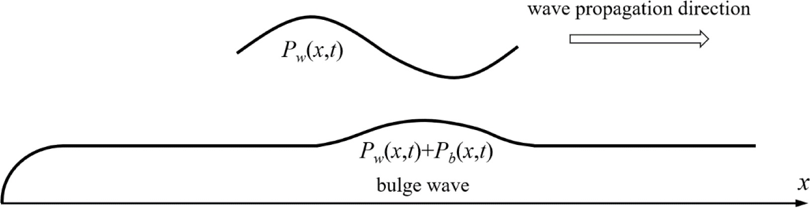 Schematic diagram of wave pressure acting on an elastic capsule