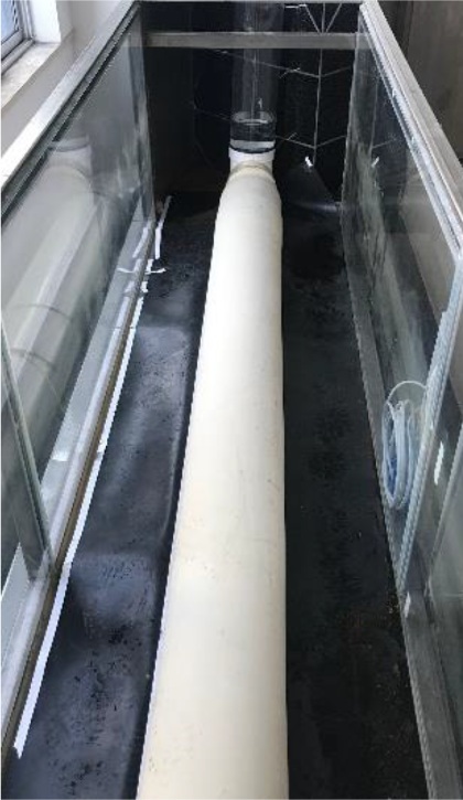Physical elastic capsule prototype in the wave flume