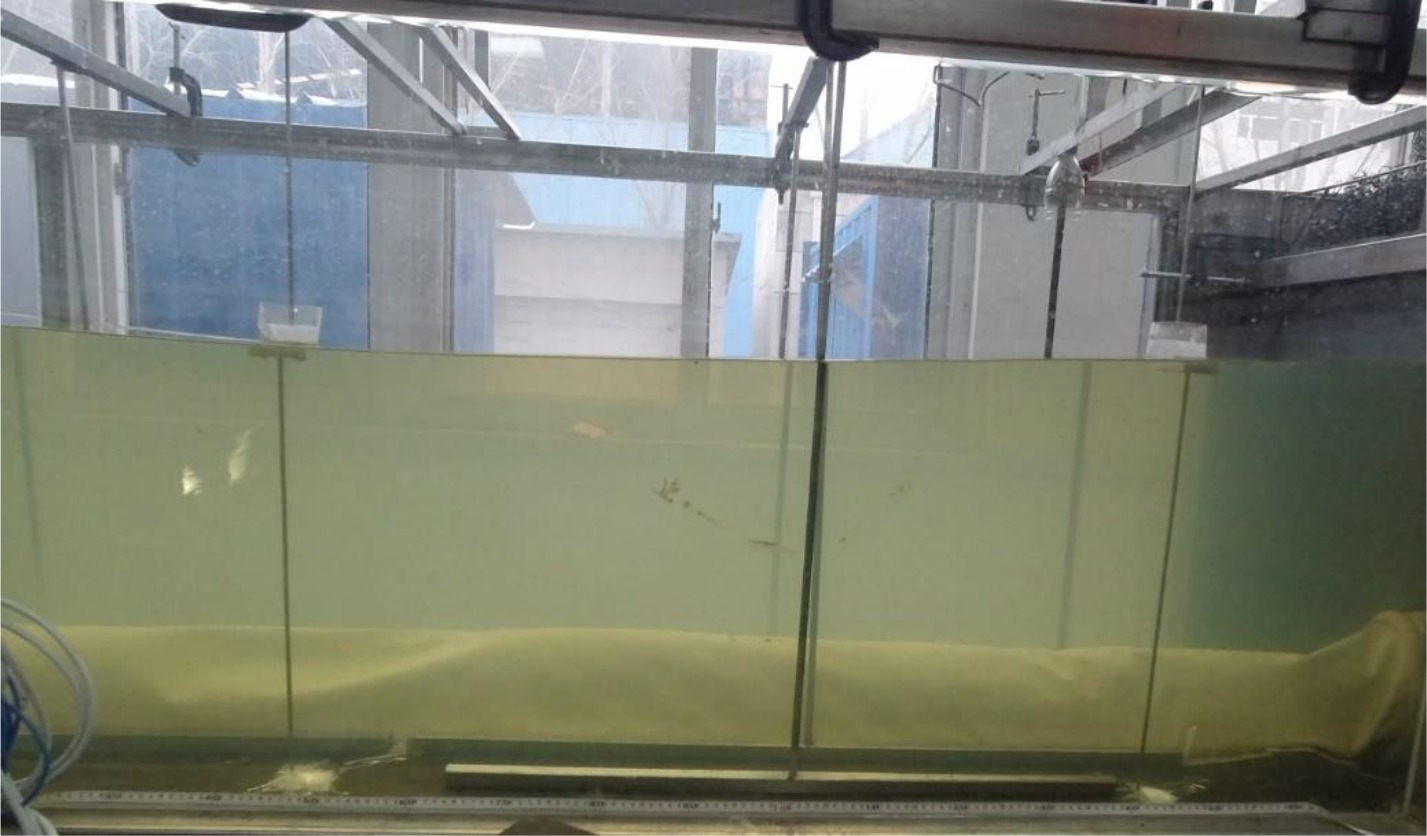 Relaxation of the elastic capsule in response to wave action