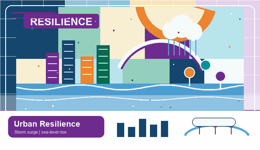 Urban and coastal resilience visual